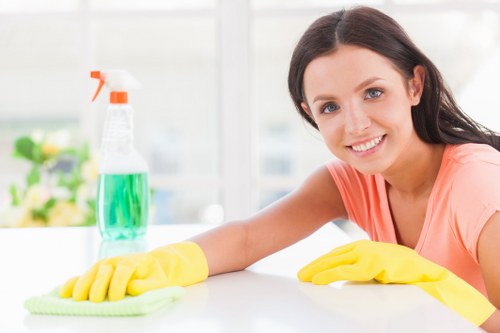 Move out cleaning tools and checklist arranged for a property handover