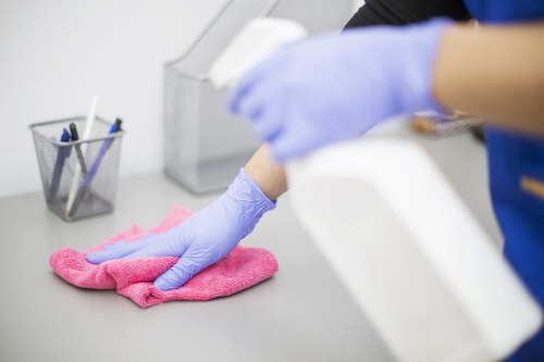 Regular cleaning routine in a bright home setting