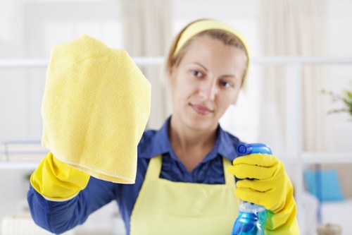 Professional carpet cleaning in a home living room