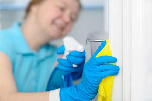 Sofa cleaning process in a modern living room