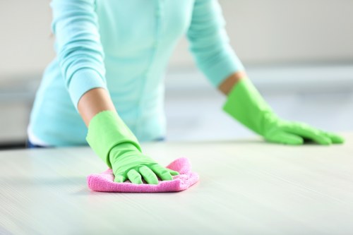 Vacuuming a rug as part of routine maintenance