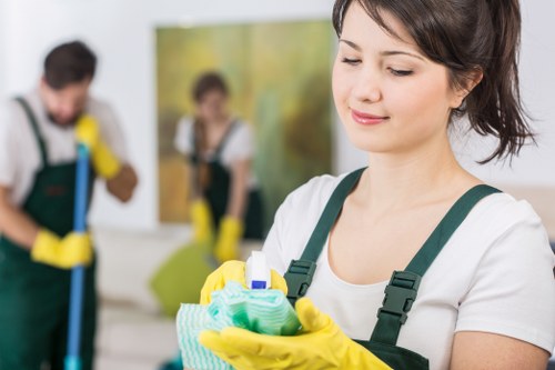 Eco-friendly house cleaning products on a shelf