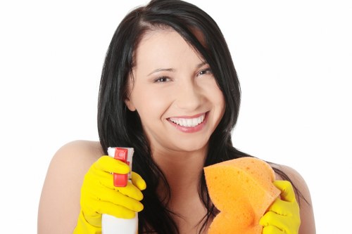 Deep cleaning tools used for bathrooms and floors