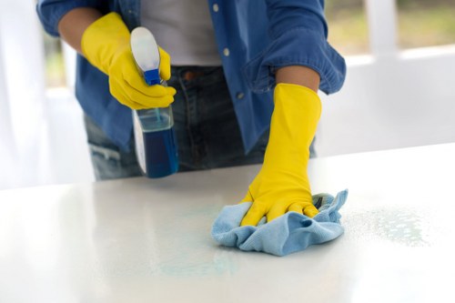 Regular cleaning in a professional office environment